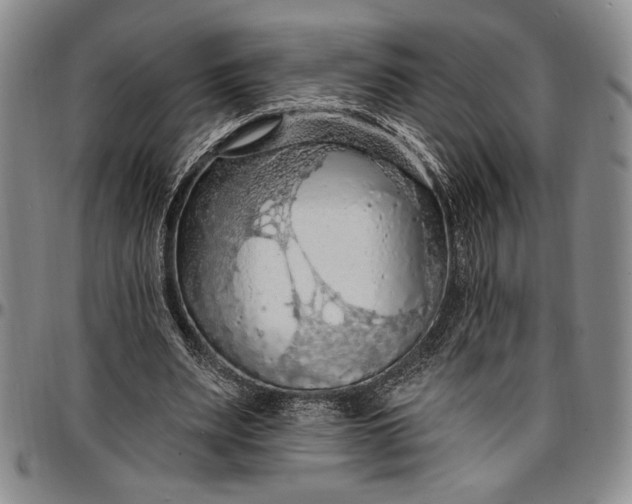 X0000096680487200802191356