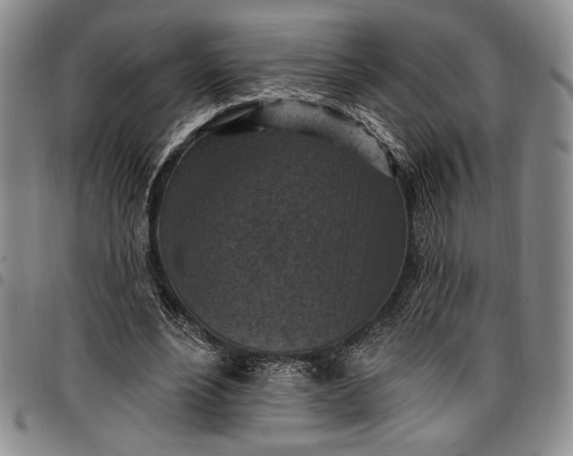 X0000096680488200802191356