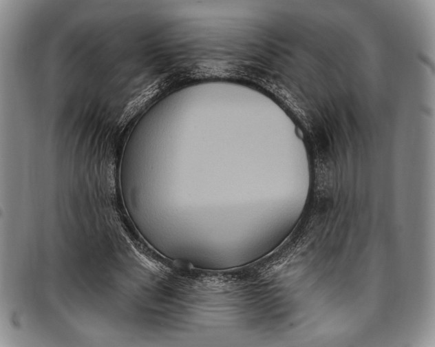 X0000096680489200802191356