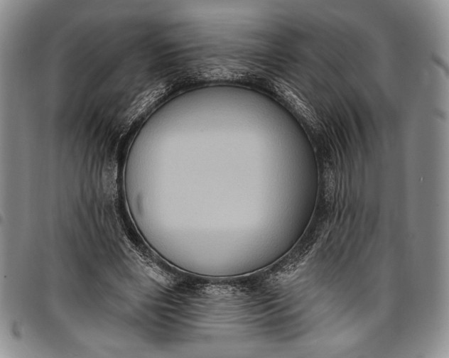 X0000096680490200802191355