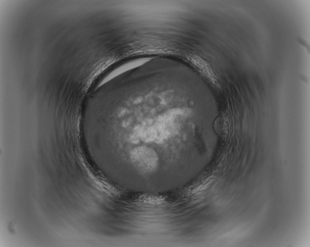X0000096680491200802191355