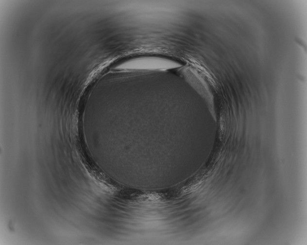 X0000096680492200802191355