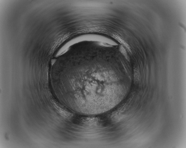 X0000096680493200802191355