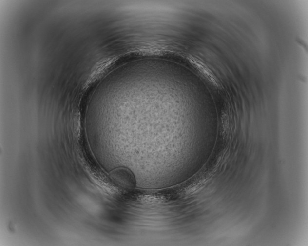 X0000096680494200802191355