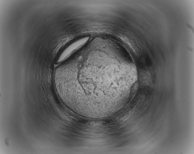 X0000096680495200802191355