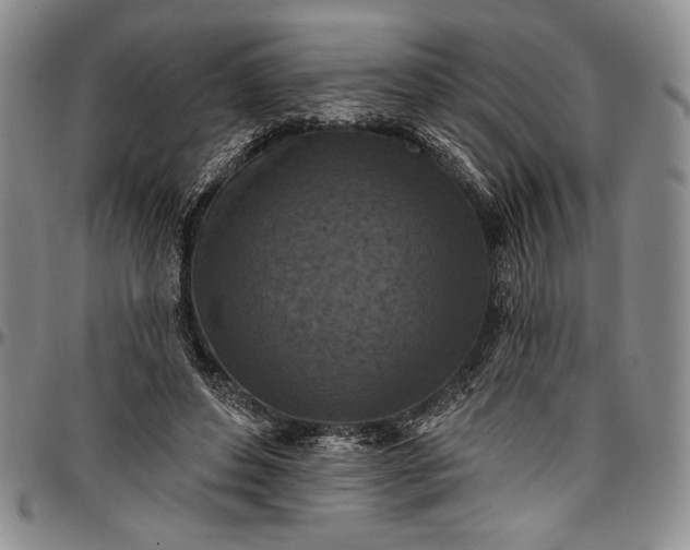 X0000096680496200802191355