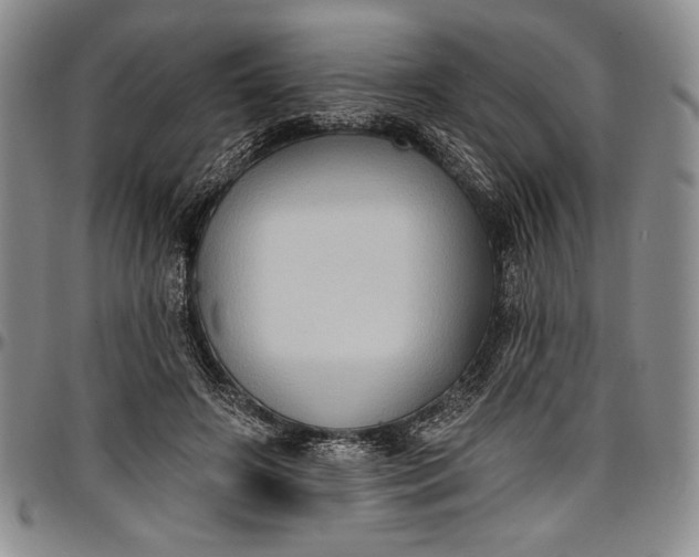 X0000096680498200802191355