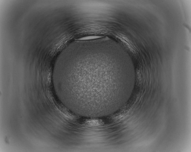 X0000096680499200802191355