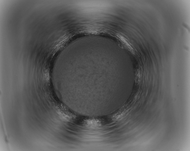 X0000096680500200802191355