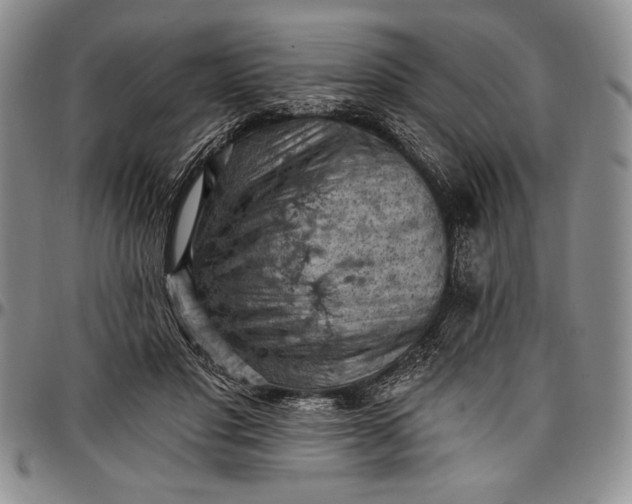 X0000096680501200802191355