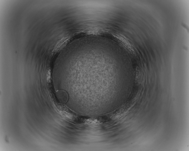 X0000096680502200802191355
