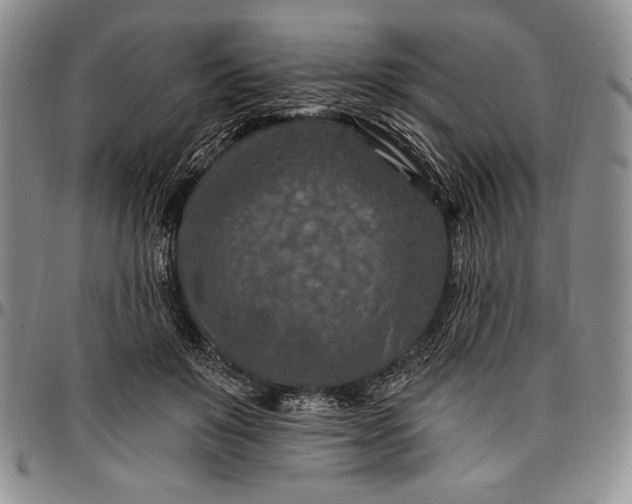X0000096680503200802191355