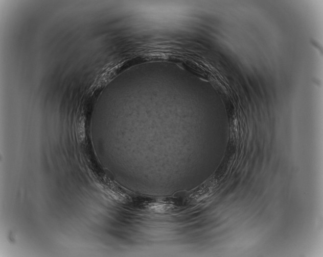 X0000096680504200802191355