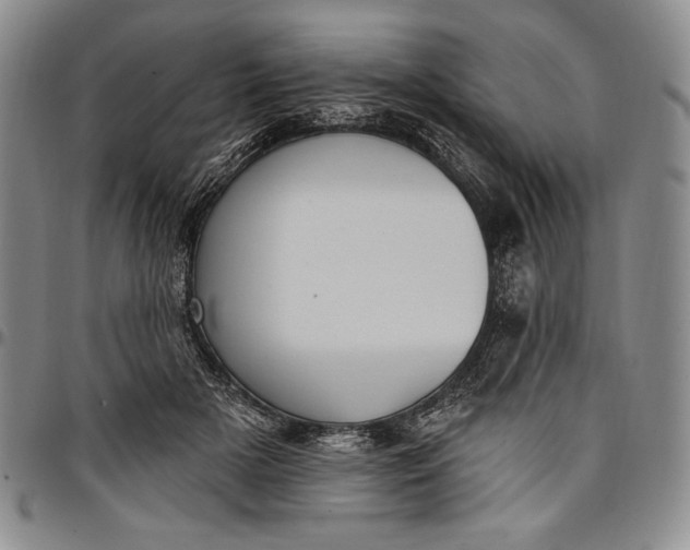 X0000096680505200802191355