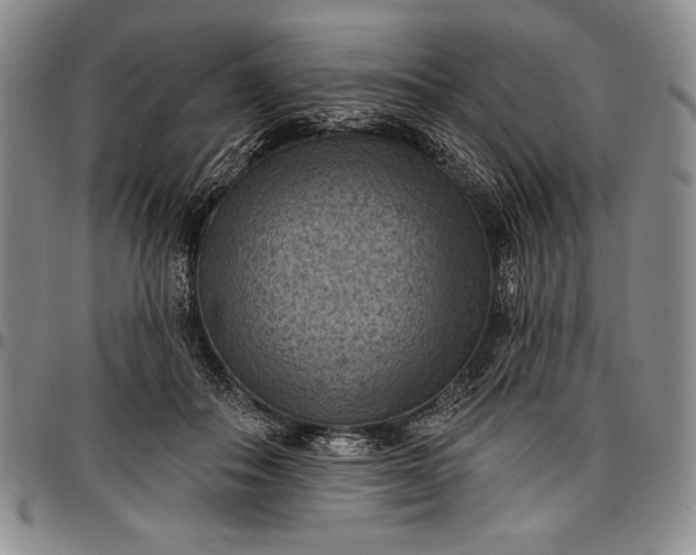 X0000096680506200802191355