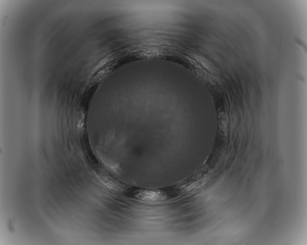 X0000096680507200802191355