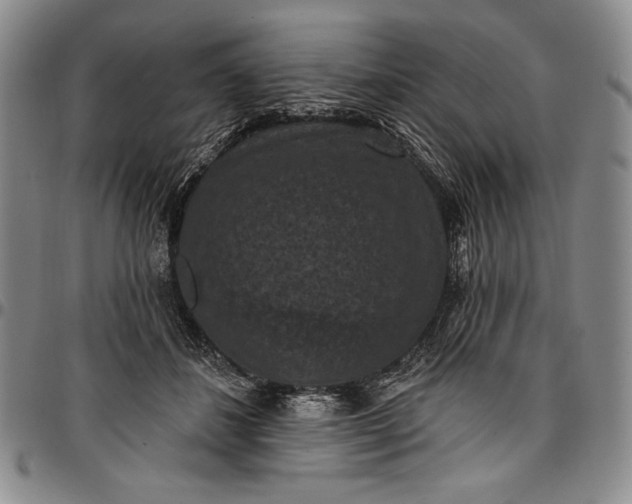 X0000096680508200802191355