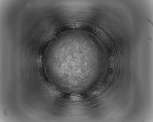 X0000096680510200802191355