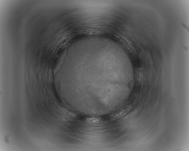X0000096680511200802191355