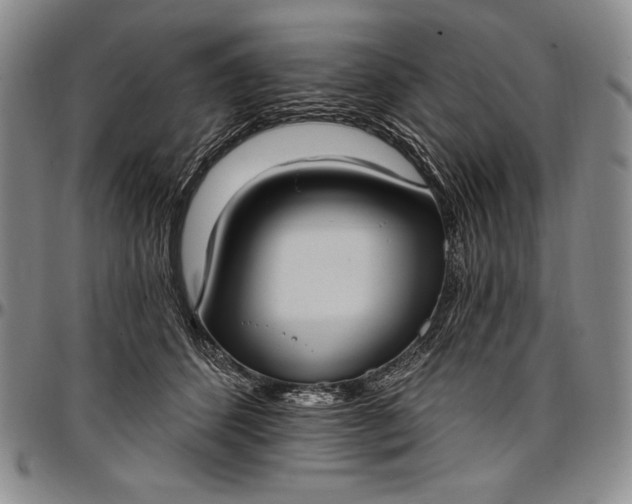 X0000096680512200802191355