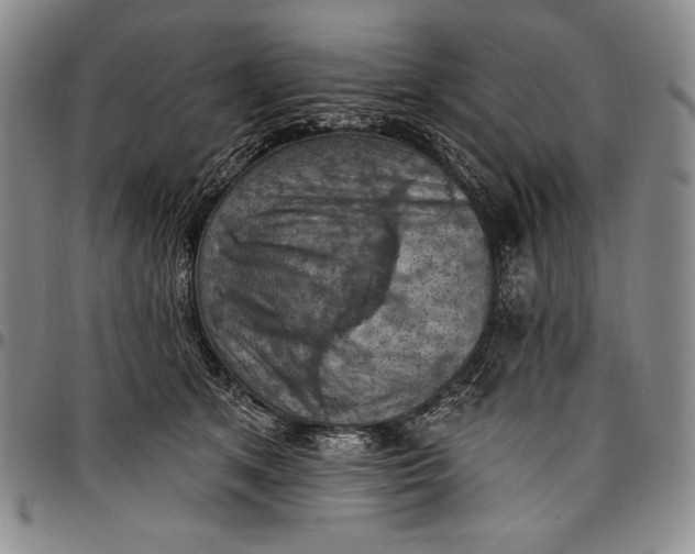 X0000096680513200802191355
