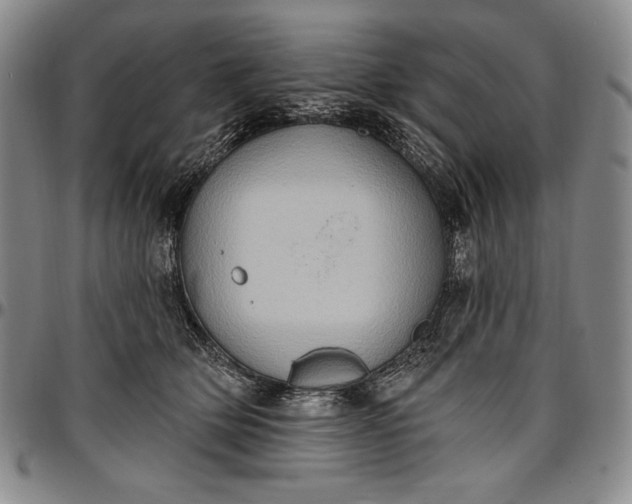 X0000096680514200802191355