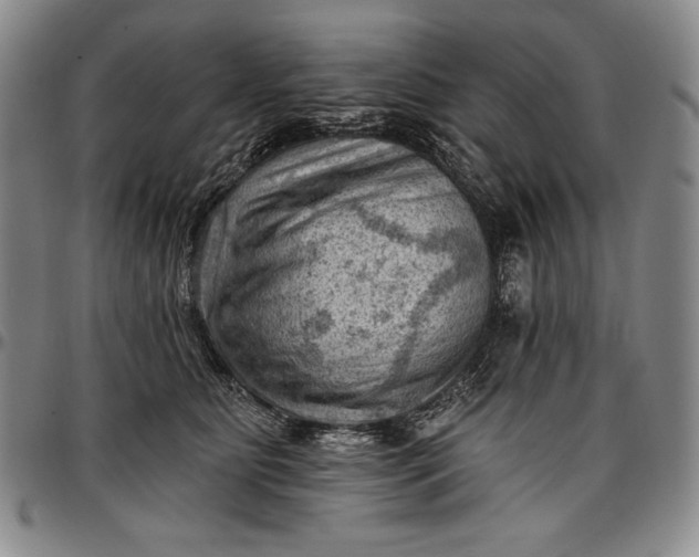 X0000096680515200802191355