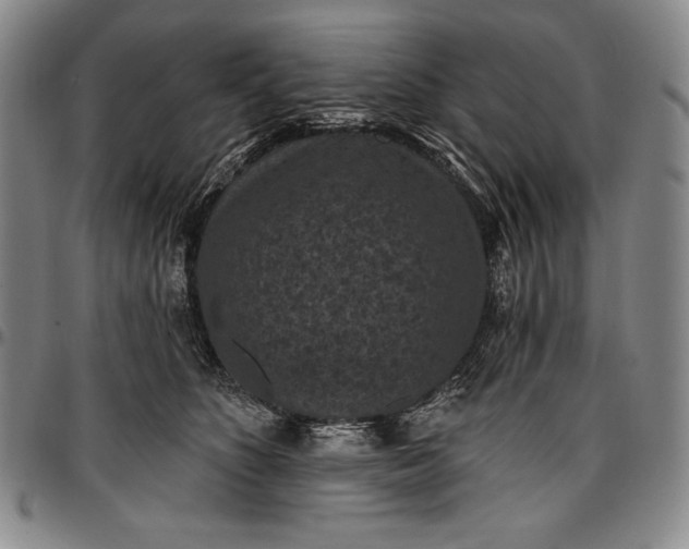 X0000096680516200802191355