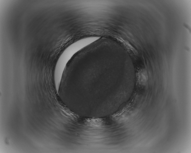 X0000096680517200802191355