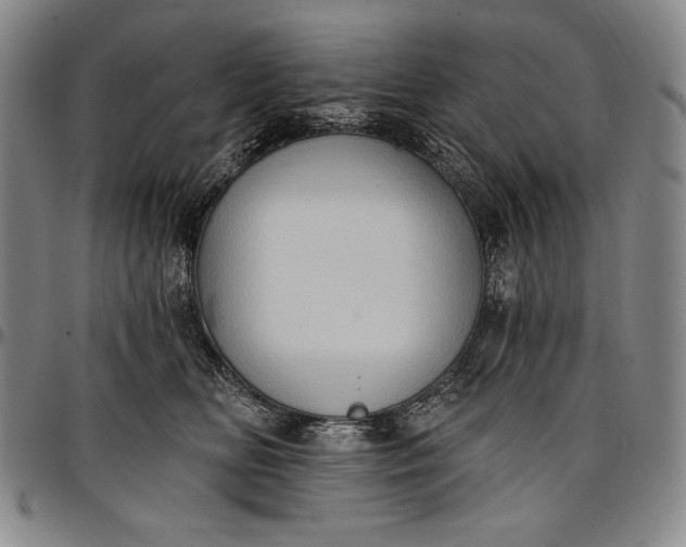 X0000096680518200802191355