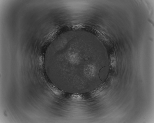 X0000096680519200802191355