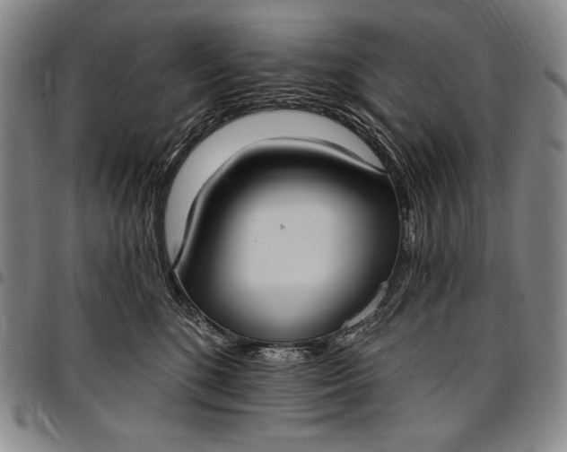 X0000096680520200802191355