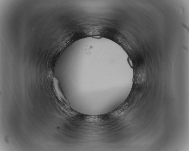 X0000096680521200802191355