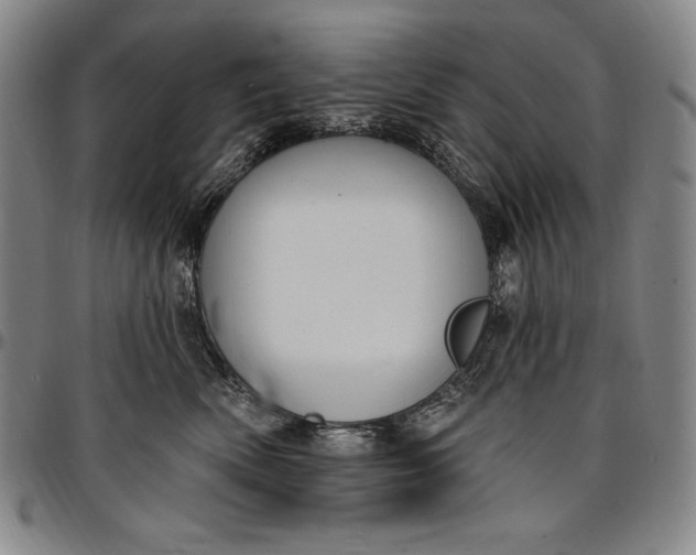 X0000096680522200802191355