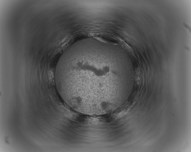X0000096680523200802191355