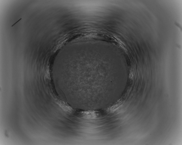 X0000096680524200802191355