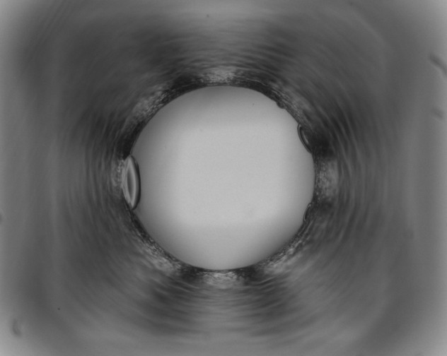 X0000096680525200802191355
