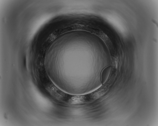 X0000096680526200802191355