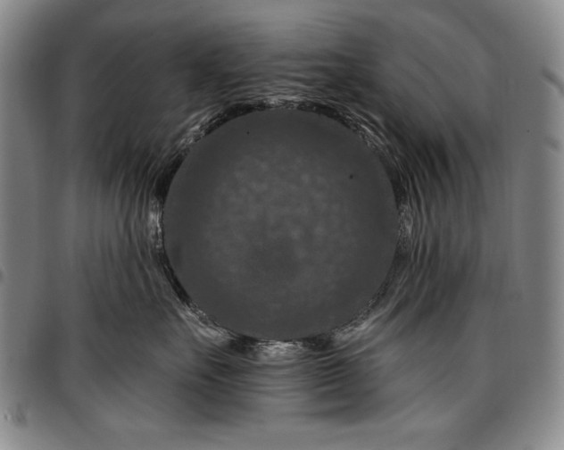 X0000096680527200802191355