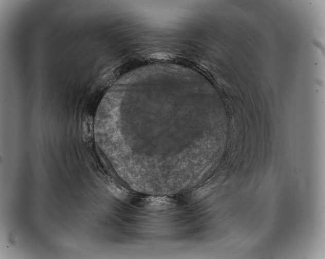 X0000096680528200802191355