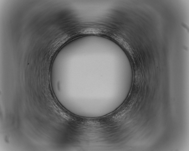 X0000096680529200802191354