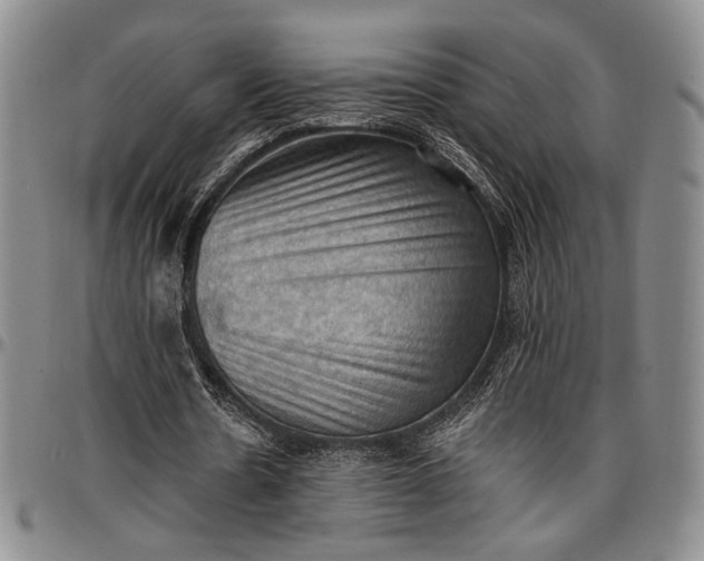 X0000096680530200802191354