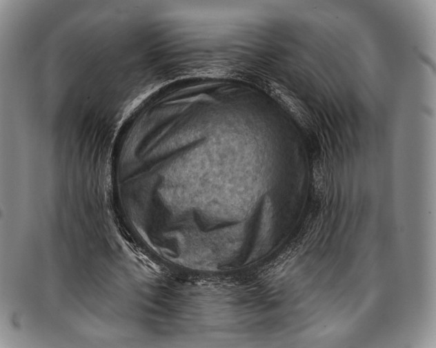 X0000096680532200802191354