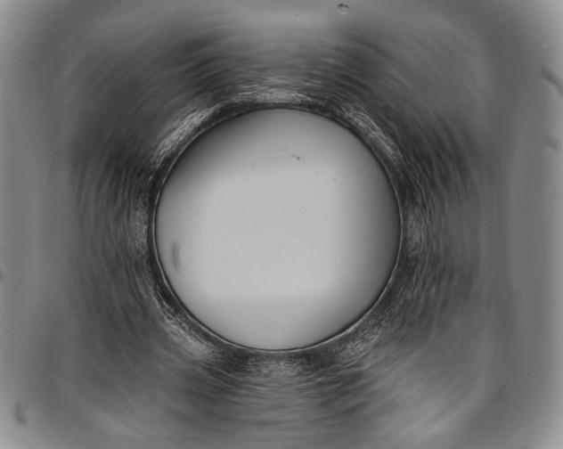 X0000096680533200802191354
