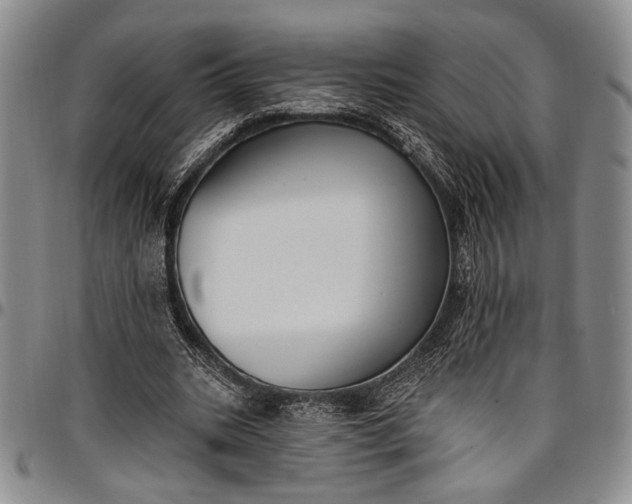 X0000096680535200802191354
