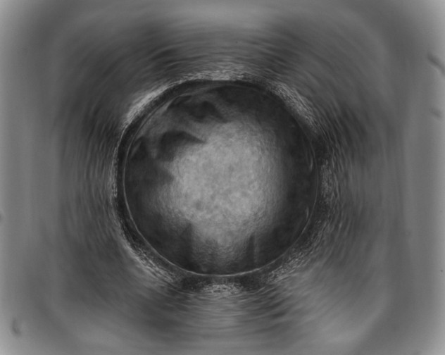 X0000096680536200802191354