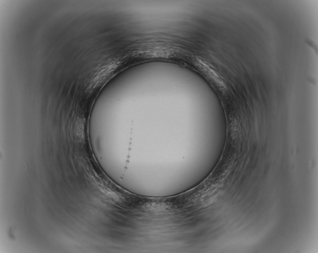 X0000096680537200802191354