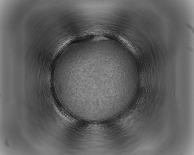 X0000096680538200802191354