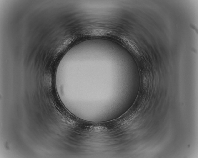 X0000096680539200802191354