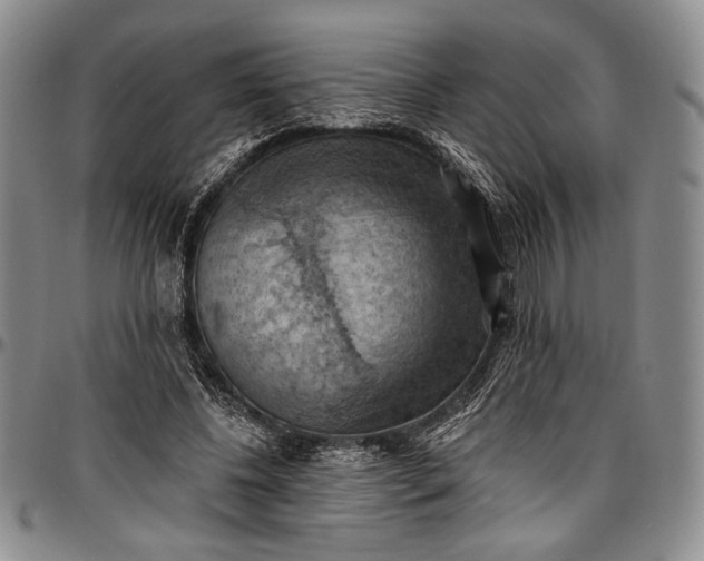 X0000096680540200802191354